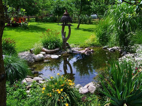 Teich Garten Sommer